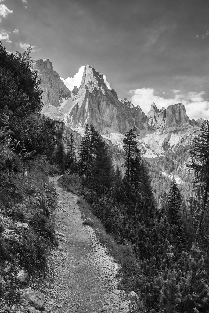 Sentiero verso il Monte Cristallo, bianco e nero