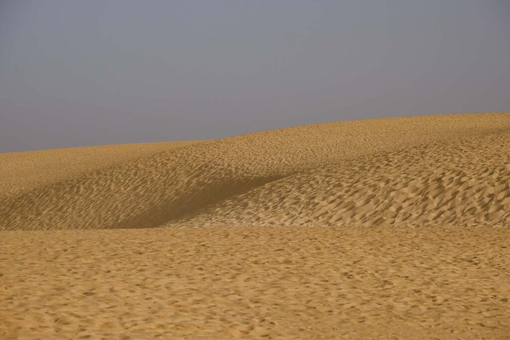 Dune di Corralejo